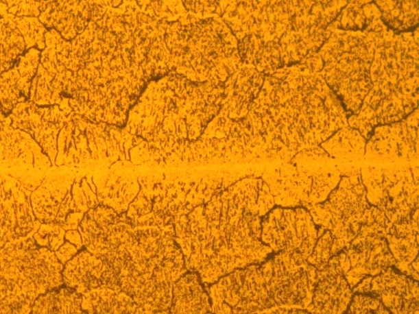 Figure 1、Formulation 1#、TechnologyA、200X