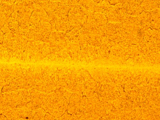 Figure 3、Formulation 1#、TechnologyC、200X