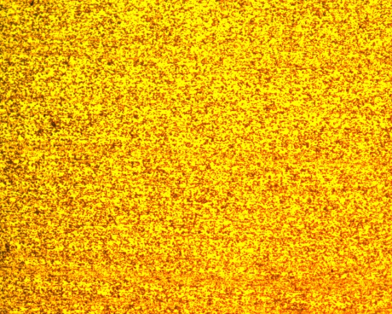 New Process Horizontal200X New Process Horizontal200X