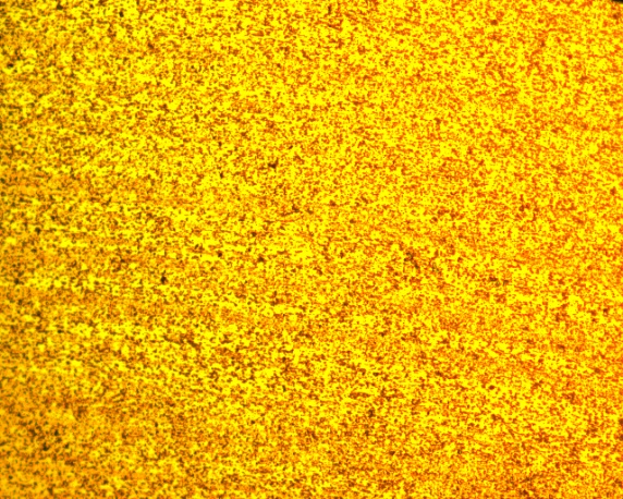 New Process Vertical200X New Process Vertical200X