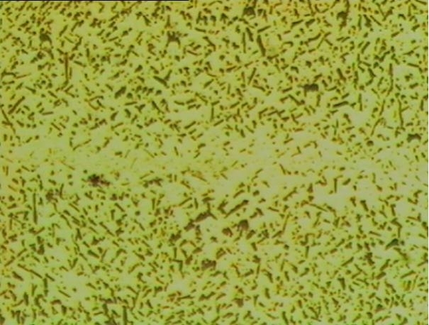 General Internal Oxidation ProcessHorizontal 200X General Internal Oxidation ProcessHorizontal 200X