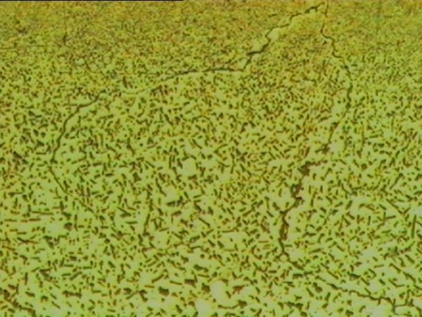 Common Internal Oxidation Process Vertical200X Common Internal Oxidation Process Vertical200X