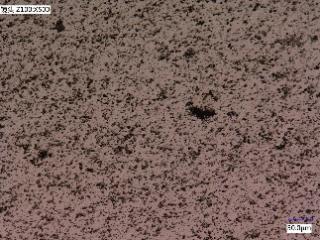 Glue Mixing Granulation