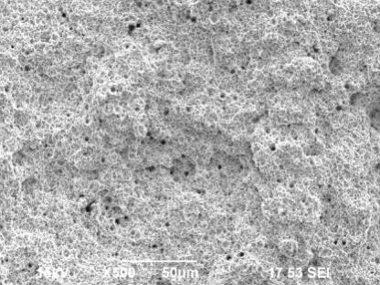 b—Ultrasonic Dispersion 500x