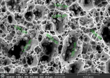 d—Ultrasonic Dispersion 5000x