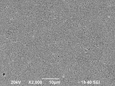 (a) AgW55Ni0. 5 (2000x)