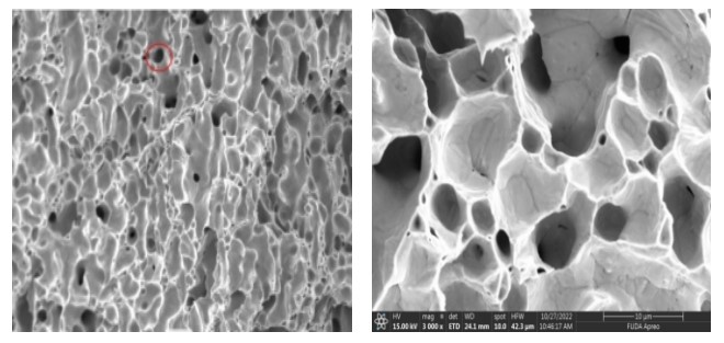 Pores in the Silver layer