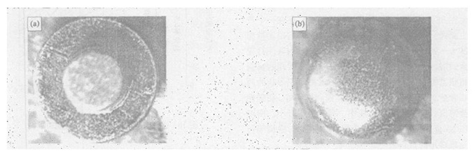 Morphology of AuNi5/CuNi20 Composite Rivet Contacts