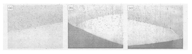 Cross-Section of AuNi5/CuNi20 Composite Rivet Contacts