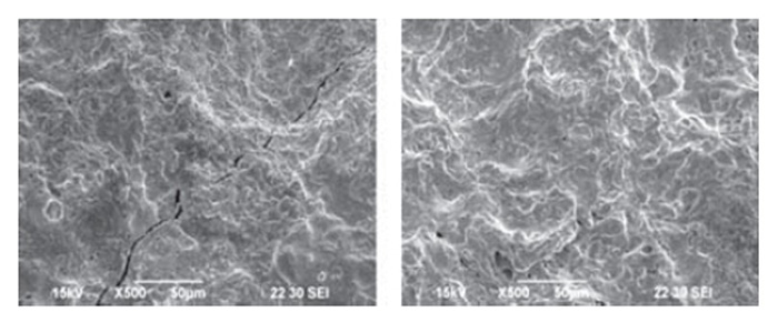 SEM Images of Sample 4 Contact Surfaces after 50,000 Operations (500×)