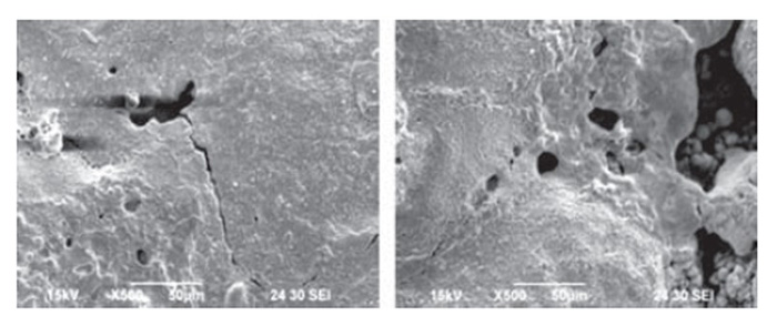 SEM Images of Sample 5 Contact Surfaces after 50,000 Operations (500×)