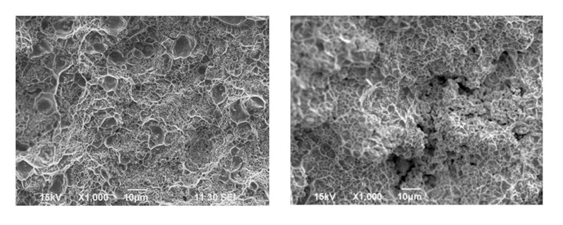 SEM comparison of AgWC microstructures