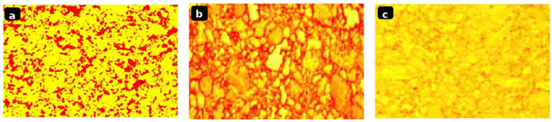 Metallographic images of specimens Metallographic images of specimens