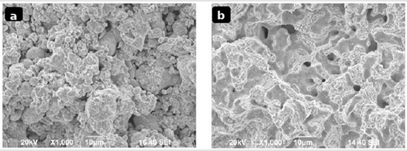SEM images of fracture surfaces from sintered specimens SEM images of fracture surfaces from sintered specimens