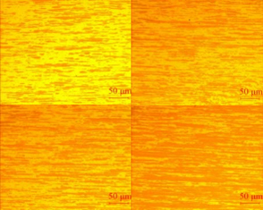 Microstructures of AgNi materials with different Ni content
