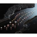Electrical Contact Rivets - ECM02