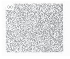 Metallographic organisation