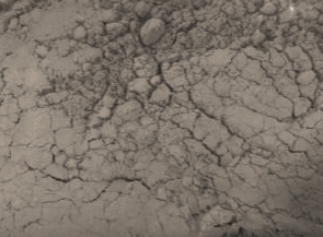 Washed with Deionized Water