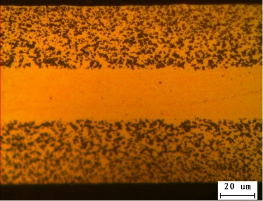 Organisation and Morphology