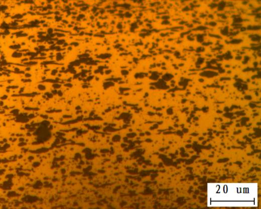 Prepared by Conventional Internal Oxidation Process 500X