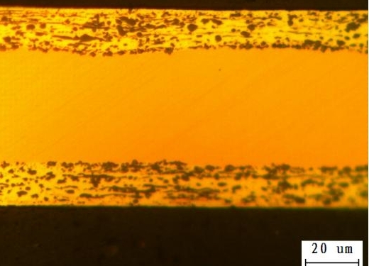 Organisation and Morphology 
