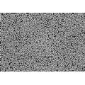 Micro-nano Silver Powder - PM04